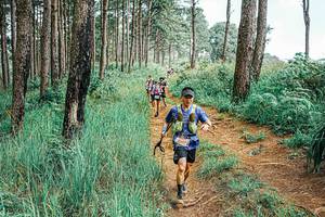 BIB: 
                            <button type="button" onclick="openModal(25654673)" class="btn btn-primary btn-sm float-right btn-popup" data-toggle="modal" data-target=".modal-high-quality">
                        <i class="fas fa-shopping-cart"></i> Add to Cart
                    </button>
                                            <button type="button" onclick="isThisMe(25654673, true)" class="btn btn-success btn-sm float-right btn-popup btn-isme hidden" data-toggle="tooltip" data-placement="bottom" title="นี่คือรูปของคุณใช่ไหม คลิกที่นี่เพื่อเอาเข้าอัลบั้ม">
                        <i class="fas fa-plus"></i> Add to album
                    </button>
                    <button type="button" onclick="isThisMe(25654673, false)" class="btn btn-warning btn-sm float-right btn-popup btn-isnotme hidden">
                        <i class="fas fa-ban"></i> Remove from album
                    </button>